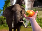 Zoo Tycoon - Trailer Anuncio