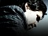 Detallados los requisitos del sistema de Alan Wake para PC