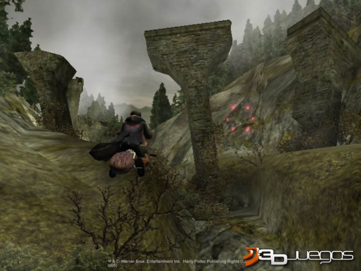 HARRY POTTER Y EL CALIZ DE FUEGO PS2 harry potter y el caliz de fuego ps2: