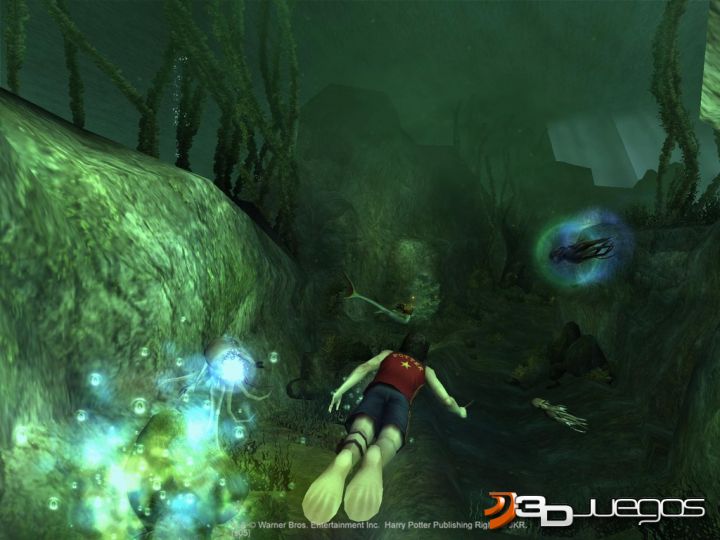 HARRY POTTER Y EL CALIZ DE FUEGO PS2 harry potter y el caliz de fuego ps2: