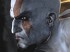 Sony: "God of War III cuenta con caracter&iacute;sticas s&oacute;lo posibles en PS3"