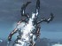 Vídeos de God of War 3