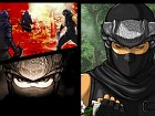Foto Ninja Gaiden Dragon Sword