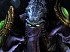 StarCraft 2: Miles de protestas por la eliminaci&oacute;n del juego en red local