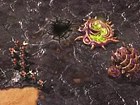 V�deo StarCraft 2: Wings of Liberty: V&iacute;deo del juego 7