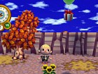Foto Animal Crossing: City Folk