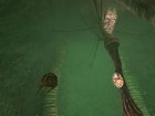 Foto Anarchy Online: Lost Eden