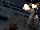 Max Payne 3