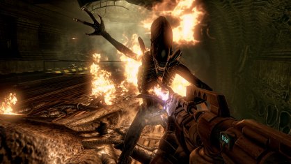 Aliens vs Predator
