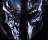 Aliens vs Predator