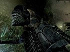 Aliens vs Predator