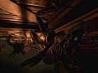 Aliens vs Predator