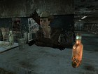Foto Fallout: New Vegas