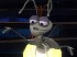 Im�genes de Tiana y el Sapo