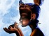 Im�genes de Tiana y el Sapo