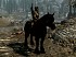 Vídeos de The Elder Scrolls V: Skyrim