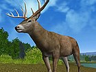 Hunting Unlimited 2010