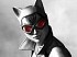 Batman Arkham City: Armored Edition