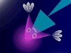 Electroplankton: Trapy