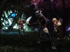 Foto Kingdoms of Amalur: Reckoning