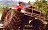 Motorstorm