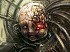Afterfall: Insanity