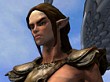 Descargar Faery: Legends of Avalon
