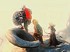 V�deos de Trine 2