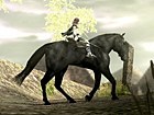Ico and Shadow of the Colossus: The Collection