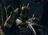 Vídeos de Dark Souls