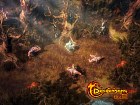 Foto Drakensang Online