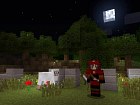 Foto Minecraft