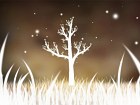 Botanicula