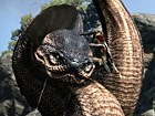V�deo Dragon's Dogma: Hydra
