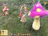 New Little King's Story