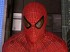 Avances y noticias de The Amazing Spider-Man