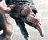 Assassins Creed: Recollections
