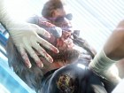 Foto Metal Gear Solid 5: The Phantom Pain