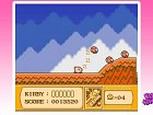 Kirby's Adventure