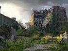 The Last of Us