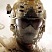 Call of Duty: Black Ops 2