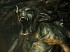 V�deos de The Elder Scrolls V: Skyrim - Dawnguard