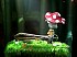 Puppeteer - Gameplay Trailer