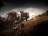 Slender: The Arrival