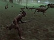 The Stomping Land