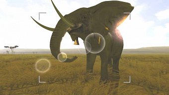 Los safaris fotográficos de Wild Earth se acercan