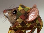 Ghost of a Tale