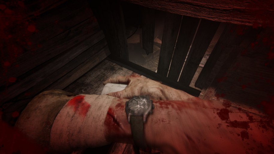 Outlast 2