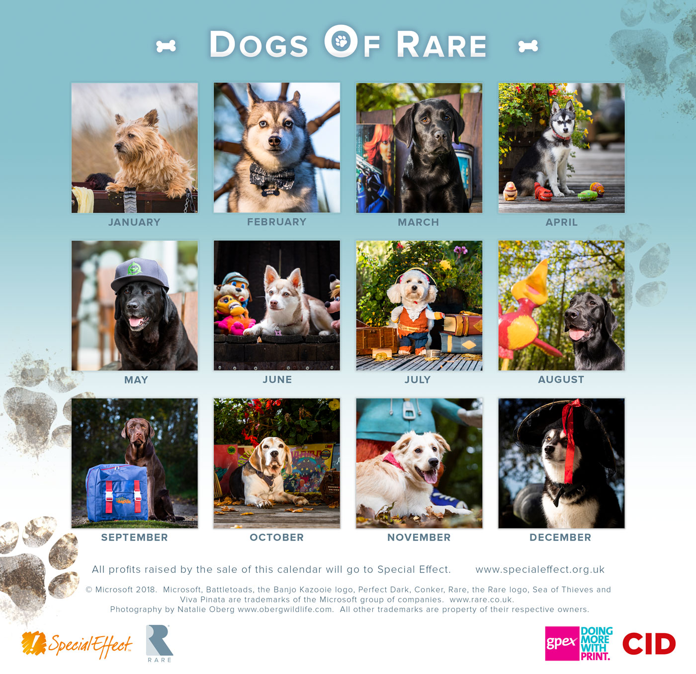 Dogs of Rare, el divertido calendario solidario de las mascotas de Rare