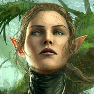 Divinity: Original Sin II Análisis